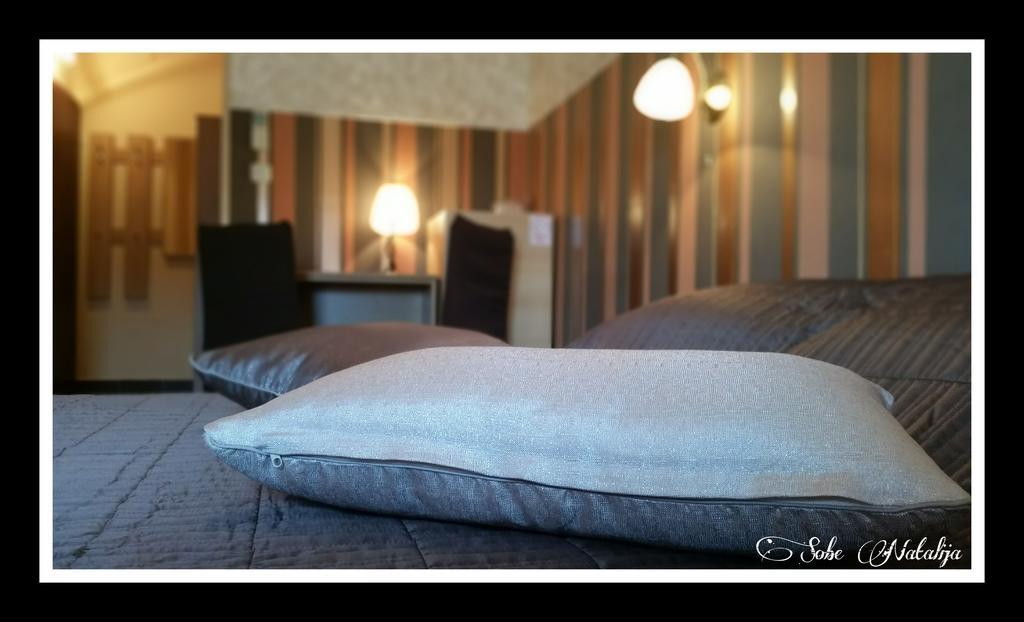 Smjestaj Natalija Hotel Osijek Cameră foto